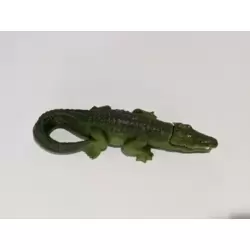Crocodile