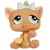 LPS 1335