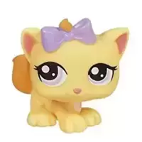 LPS 1337