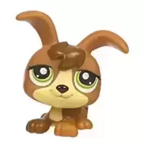 LPS 1338