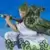 Figuarts Zero One Piece - Roronoa Zoro - Zorojuro