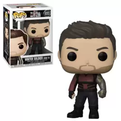 The Falcon and The Winter Soldier - Winter Soldier (Zone 73)