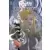 Tome 1