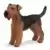 Airedale terrier