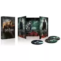 Harry Potter et les Reliques de la Mort - 1ère et 2ème partie - Année 7 - Le monde des Sorciers de J.K. Rowling - DVD [Édition Collector]
