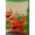 La Pat’Patrouille - Dino Rescue - Image H24