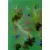 Image H25