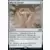 Double Masters - Mox de chrome