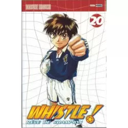 Tome 20