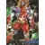 Omega Red