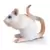 Wild Life - Souris blanche