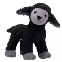 Black Sheep
