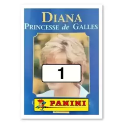 Picture n°1