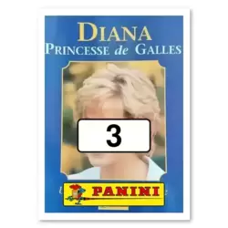 Picture n°3