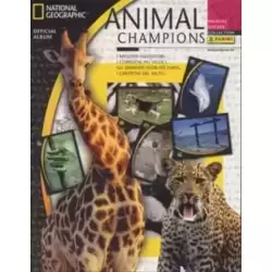 Album