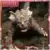 MezcoToyz - Godzilla: Destroy All Monsters Round Two 5 Points XL Deluxe Box Set