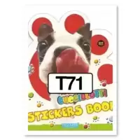 Picture T71