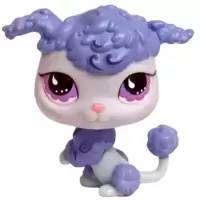 LPS 591