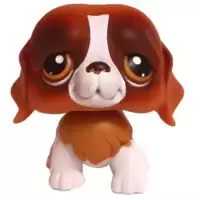 LPS 229