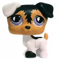 LPS 803