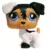 LPS 803