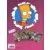 Bart Simpson - Jungle - MDR