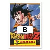 Image B