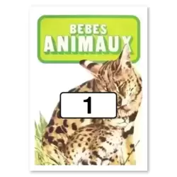 Référence n°1