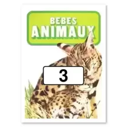Référence n°3
