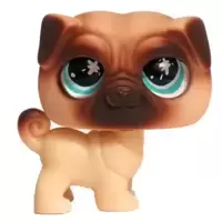 LPS 623