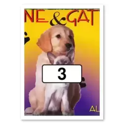 Image n°3