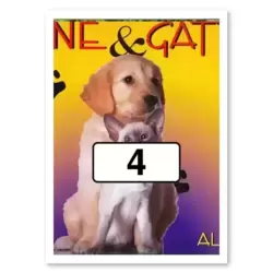 Image n°4