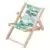 Beach Chair