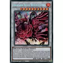 Dragon Rose Rougeâtre