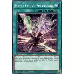 Espèce Croisée Solairvigne