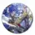 Fire Emblem 0 (Cipher) Caeda