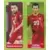 Euro 2020 Tournament Edition - Sticker 314
