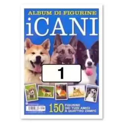 Image n°1