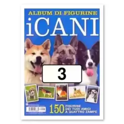 Image n°3