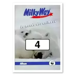 Image n°4