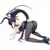FREEing - High School DxD New: Akeno Himejima (Bunny Version)