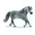 Horse Club - Hongre Gris