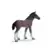 Horse Club - Poulain Hanovre