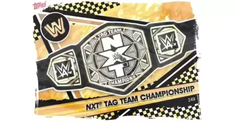 2021 Championship NXT Tag Team 2021 249 Topps WWE 