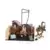 Horse Club - Box de lavage pour chevaux Emily & Luna