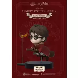 Harry Potter series - Harry Potter (Quidditch Ver.)