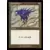 Dimir Signet