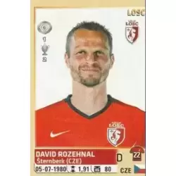 David Rozehnal