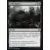 Aventures dans les royaumes oubliés (Dungeons & Dragons Forgotten Realms) - Don sinistre