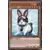 Lapin Sauveteur
